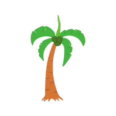 Tropikal Hindistan cevizi palmiye ağacı çizimi