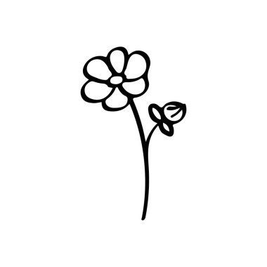 Tomurcuk eli çizilmiş minimalist çiçek