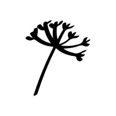 Vahşi Umbel Çiçek Silueti Botanik Kuklası