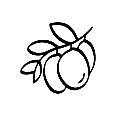 Zeytin Dalları El Çizimi Karalama Taslak Simgesi