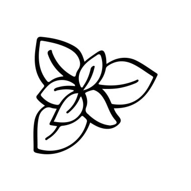 El yapımı Basil Yaprakları Çizgi Çizimi