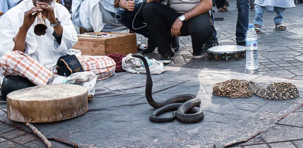 Marrakesh Moroccoジェマ フナ広場のスネークチャーマー モロッコのマラケシュ — ストック写真