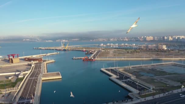 Drone Disparado Tânger Porto Marroquino Estreito Gibraltar — Vídeo de Stock