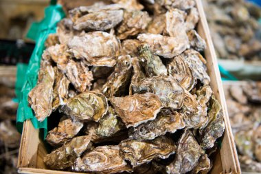 Balık pazarı, bir kutu içinde taze istiridye