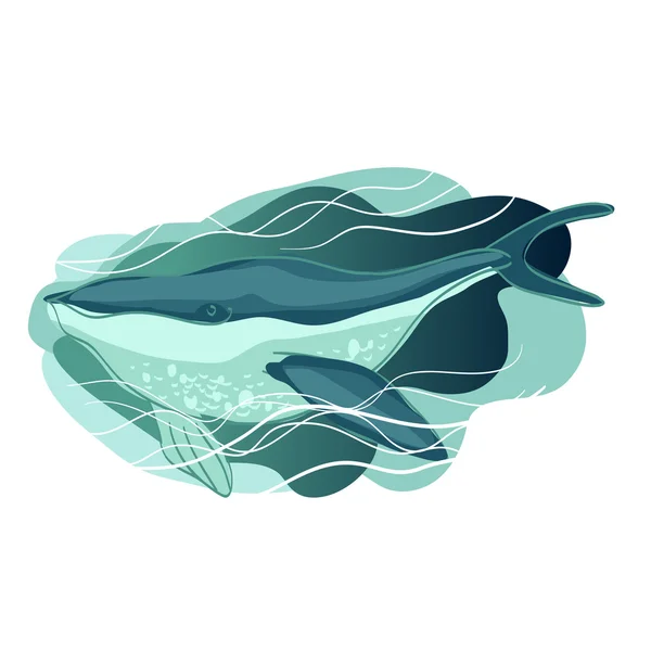 Baleia azul nas ondas — Vetor de Stock