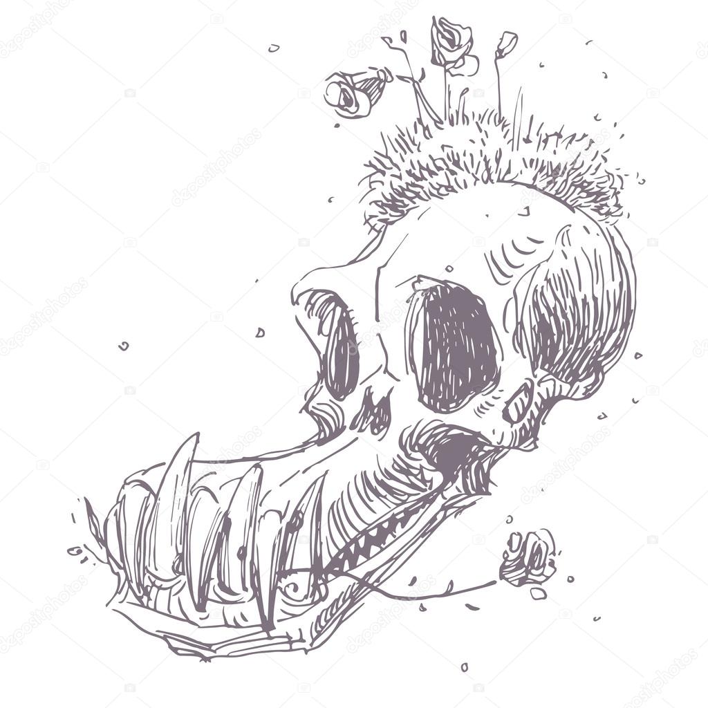 動物の頭蓋骨の描き下ろしイラストを手します。 — ストックベクター