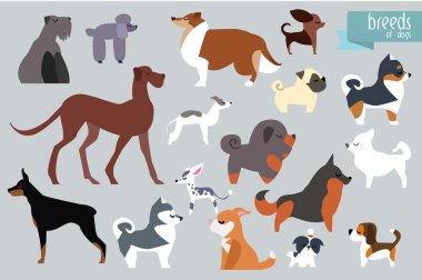 Farklı doğurmak-in köpek.