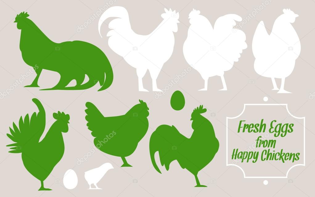 Silhouettes of birds. Hens and chickens, fresh eggs. Variety silhouettes chicken. chickens and roosters, silhouettes vector, collage set. Flat illustration.