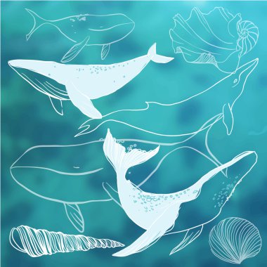 Set of whales and marine animals clipart
