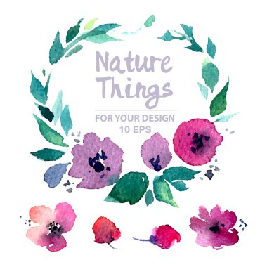 Floral Collection of Watercolor Flowers