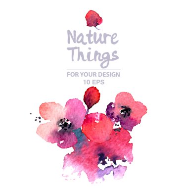 Watercoor Painted flowers