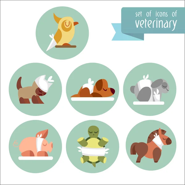 Set van plat pictogrammen van de veterinaire. — Stockvector