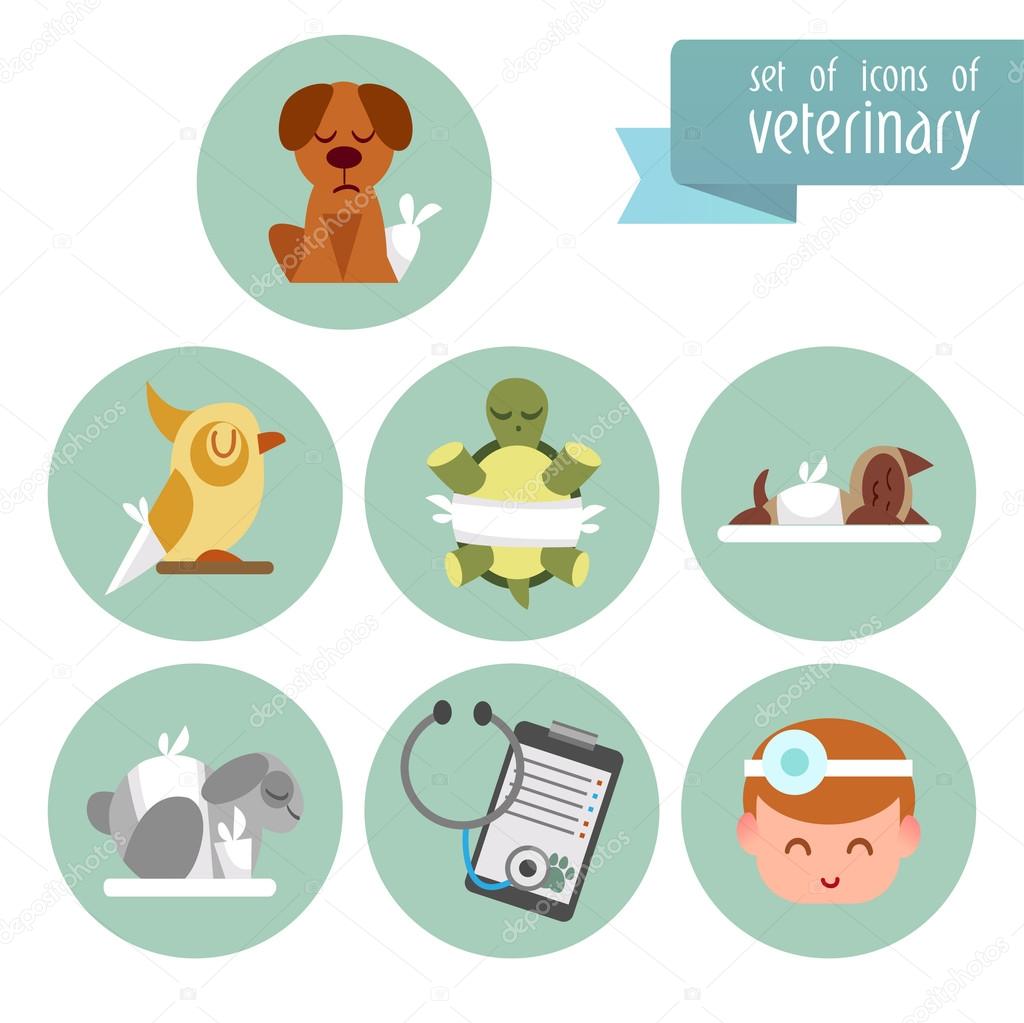 set of flat icons of Veterinary.