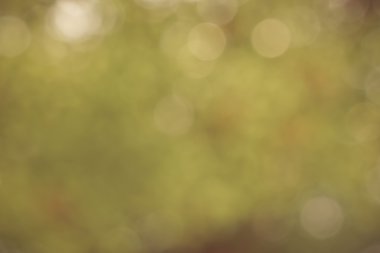 Yumuşak hafif bulanıklık ve bokeh arka plan