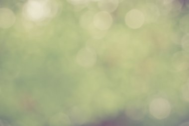 Yumuşak yeşil bokeh açık renkli
