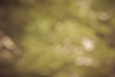Bokeh ışık arka plan bulanıklık