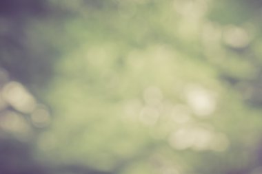 Bokeh hafif yumuşak renk arka plan