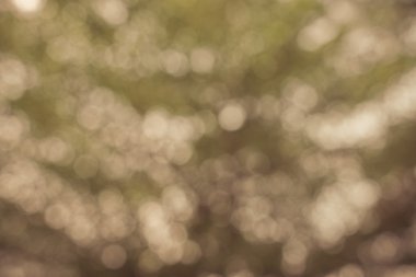 Kahverengi ışık bokeh arka plan