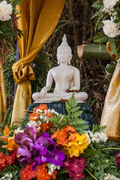 Buda resim ve çiçekler