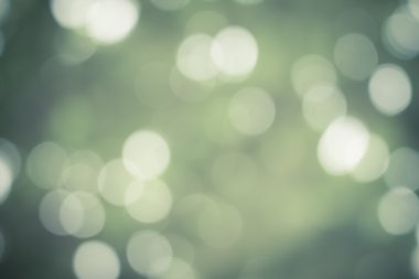 Yeşil doğa bokeh arka plan