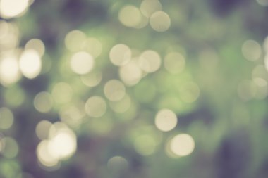 Güneşli soyut yeşil doğa arka planı, seçici odak