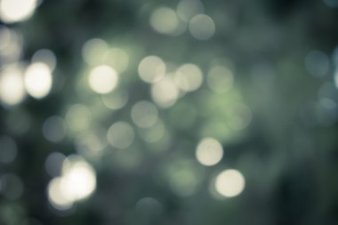 karanlık Soyut Yeşil Doğa arka plan, seçici odak