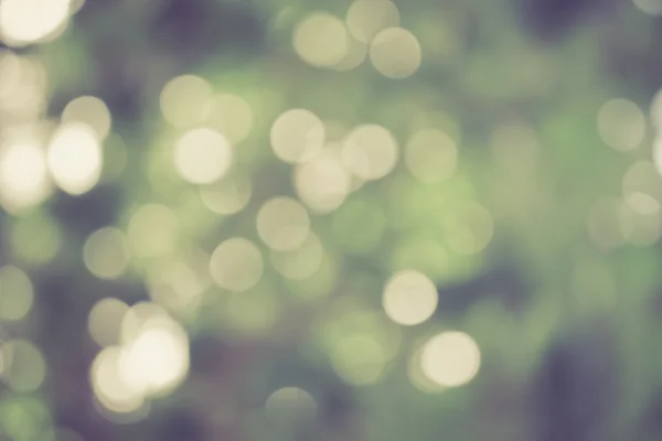 Güneşli soyut yeşil doğa arka planı, seçici odak