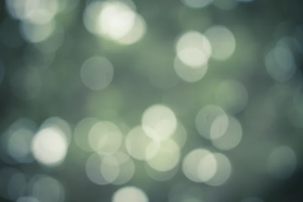 Güneşli soyut yeşil doğa arka planı, seçici odak