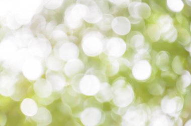 yeşil ışık bokeh arka plan