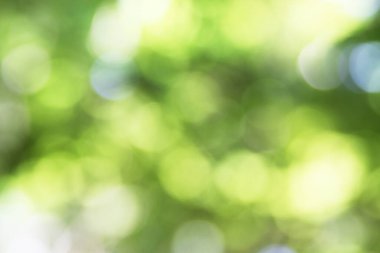 mimari, blok, bina, işletme, inşaat, el, ev, ev, yaşam tarzı, adam, para, yeni bina, yüzü olmayan, birinin evi, yoksul, emlak, tasarruf, ayrı ev, oyuncak,