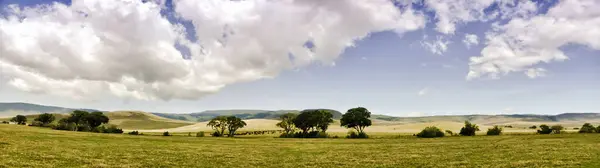 Ngorongoro Krateri ve soytarı sürüsünün panoramik görüntüsü