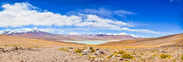 Altiplano Platosu 'ndaki Bolivya' daki Alp Gölü ve Dağlar