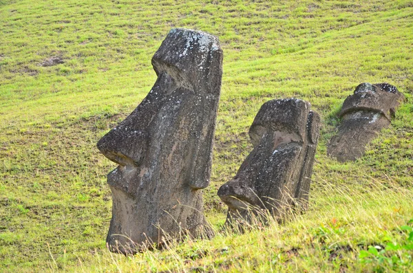 Putlara bir yürüyüşe