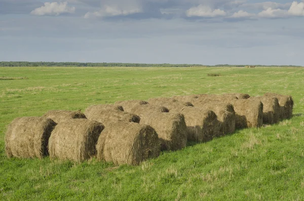 Halm skörd — Stockfoto