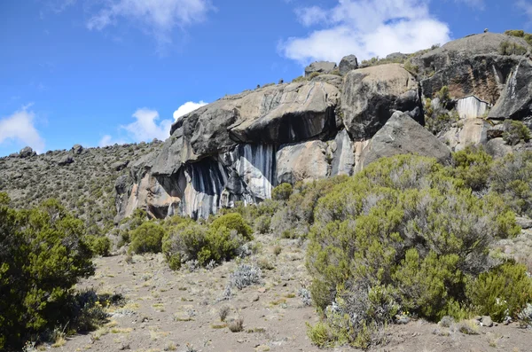 Rocce di zebra — Foto Stock