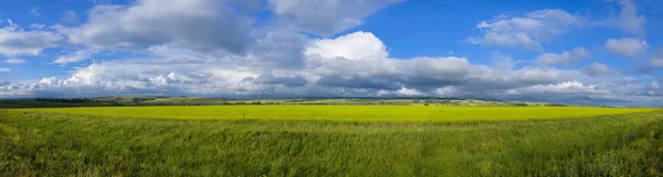 Panoramatický pohled na pole — Stock fotografie