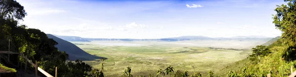 Panoramatický pohled na Ngorongoro — Stock fotografie