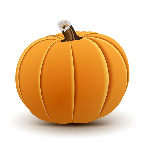 Vector Pumpkin Isolated on White — Stock Vector