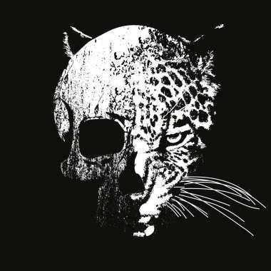 Leopar kafasıyla karışmış bir insan kafatasının vektör çizimi. Tişört ya da posterler için tasarım.