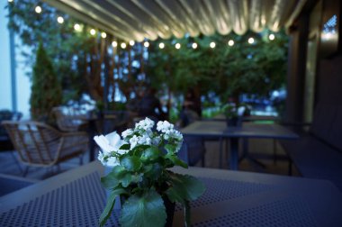 Boş restoran masası ve sandalyeler