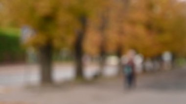 Bulanık arka plan, ağaçlı sonbahar parkı, sarı yapraklar ve araba.