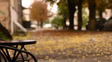 Sonbahar arkaplanı. Şehrin arka planında renkli yapraklar