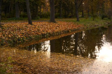 Parkta güzel bir sonbahar manzarası