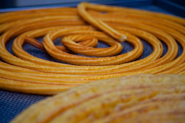 Ton balığı Nigiri bir seramik tabak