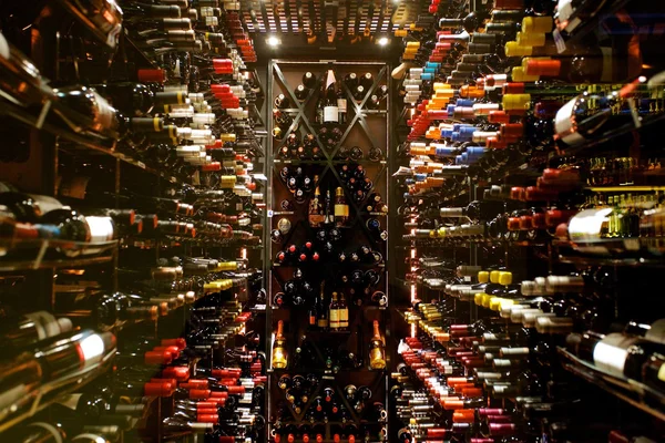 Moderne wijnkelder — Stockfoto