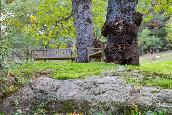 Dřevěné lavice na vrcholu skály — Stock fotografie