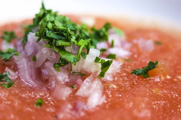 Soğuk Fas domates çorbası