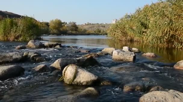 Jižní Brouk Řeka Podzimním Dni — Stock video