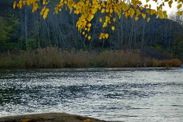 Alberi Autunnali Sul Fiume — Foto Stock