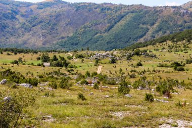 Montengro dağda Durmitor detay